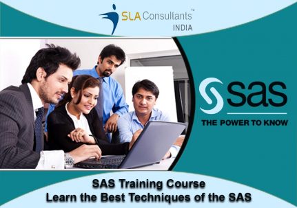 SAS Training Course – Learn Essential Specifications